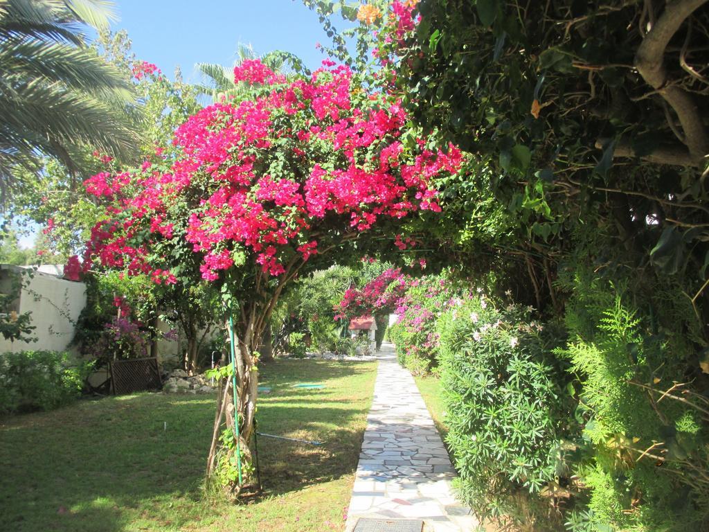 Tsialis Hotel Apartments Larnaca Exterior photo